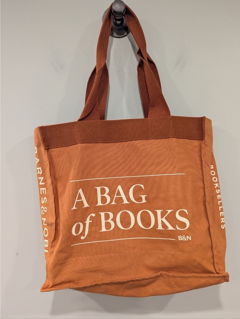 Barnes & Noble A Bag Of Books Canvas Tote In Rust